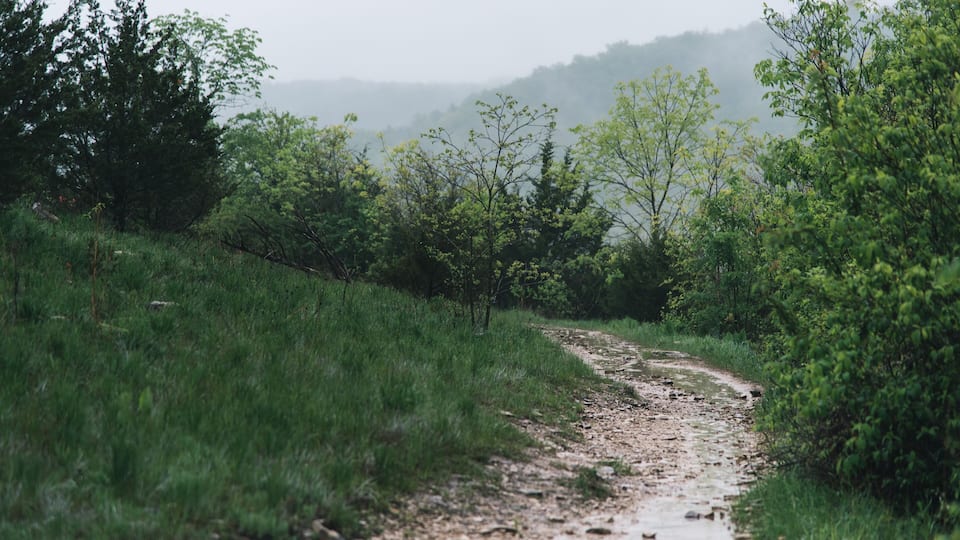 A dirt path winding through a green landscape with trees and hills in the background.