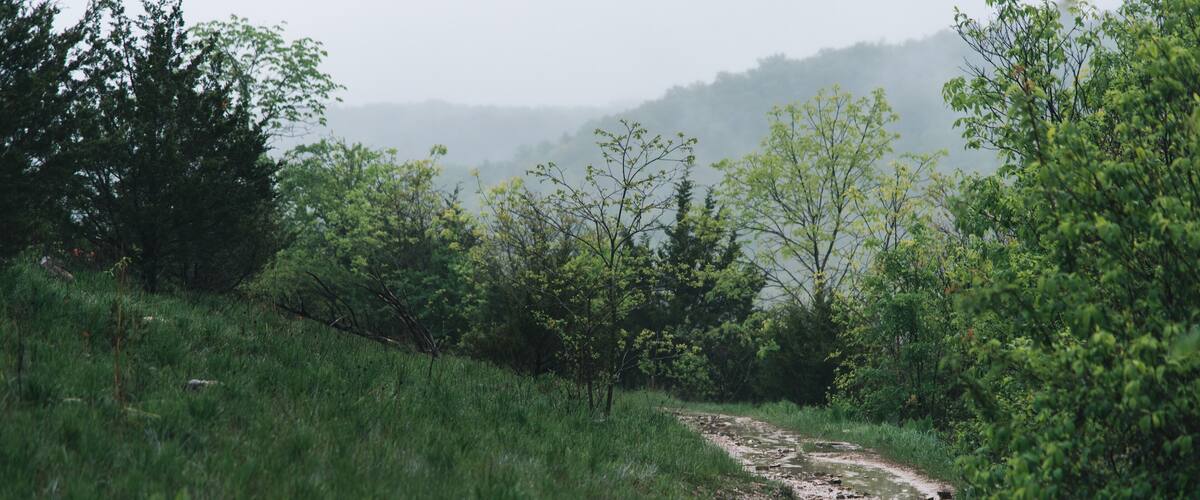 Busiek State Forest in Missouri