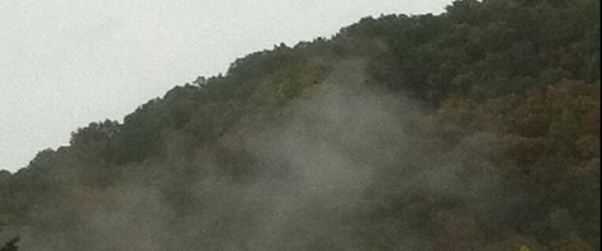 A misty mountain landscape with dense forest.