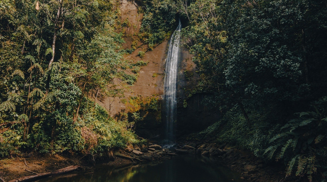 aerial view of Colombian Pacific waterfall
