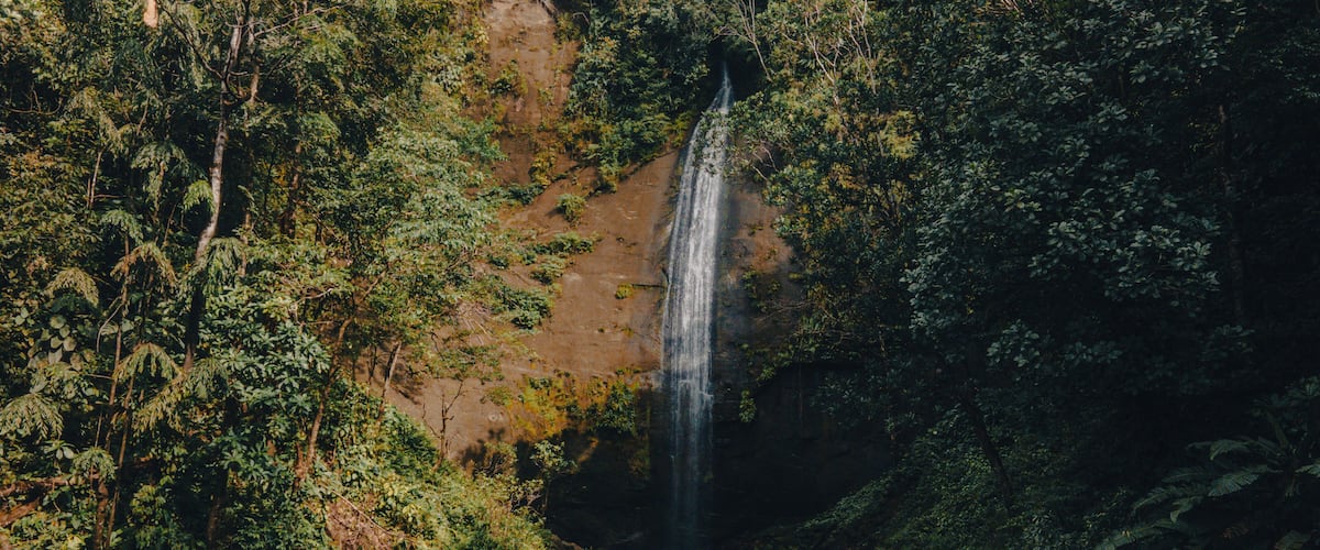 A waterfall surrounded by dense forest.