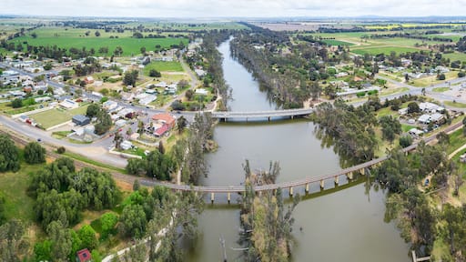 Aerial view of two bridges crossing a tree lined river dividing a country town
