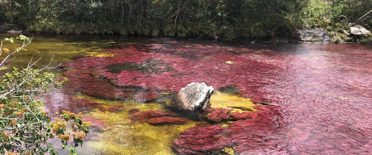 Probably the most beautiful river in the world