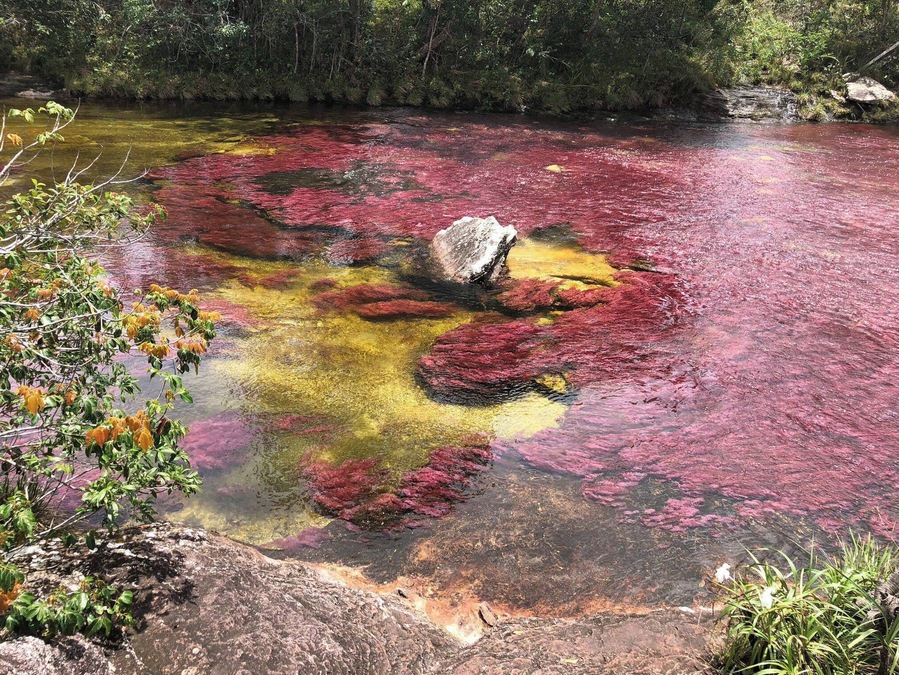 Probably the most beautiful river in the world