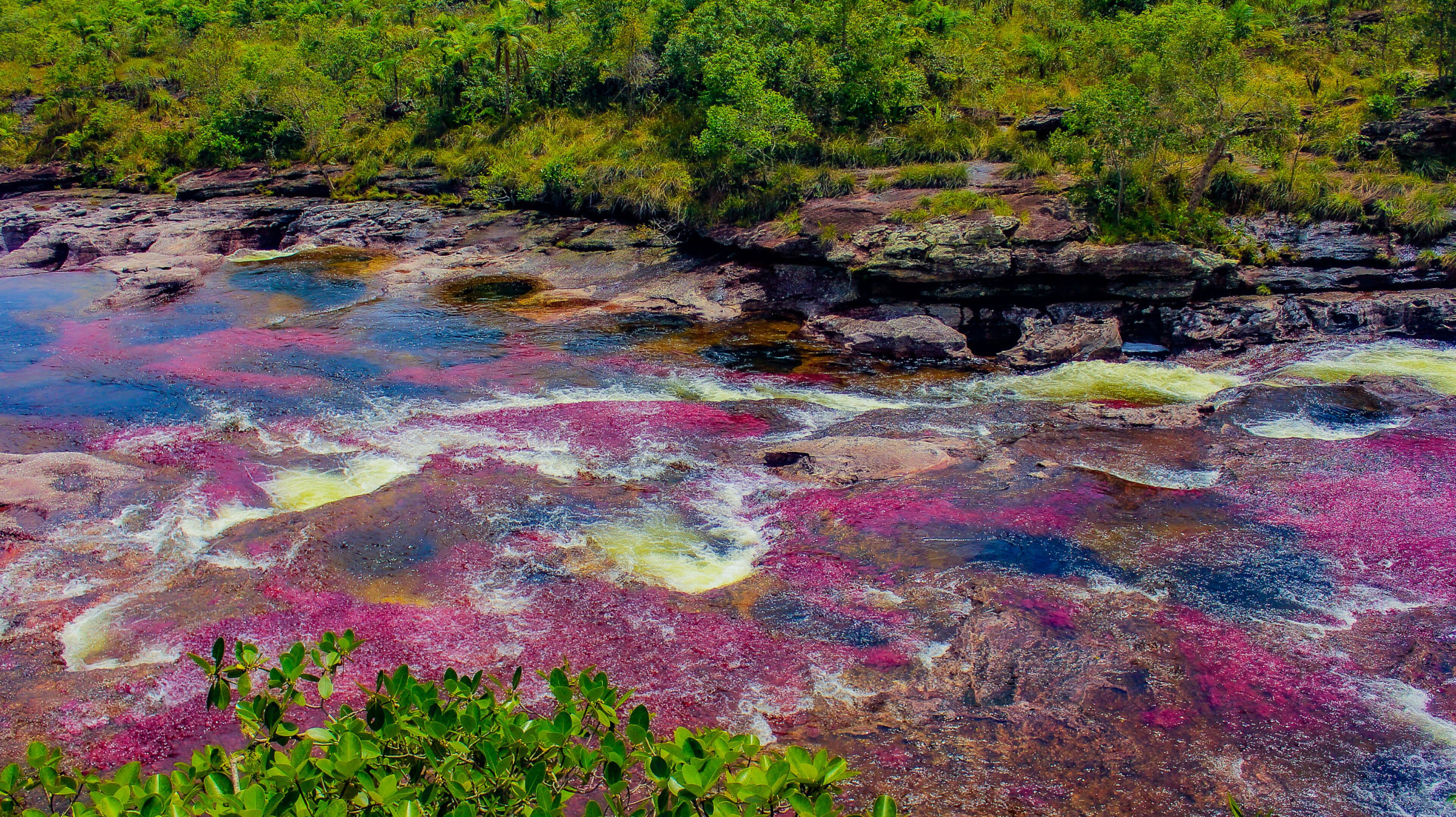 A river with colorful mineral deposits and surrounding greenery.
