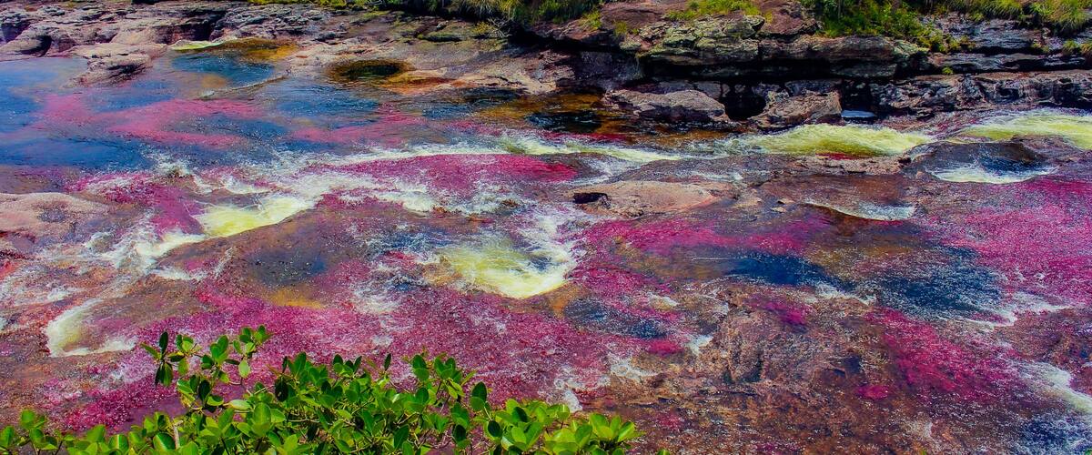 A river with colorful mineral deposits and surrounding greenery.