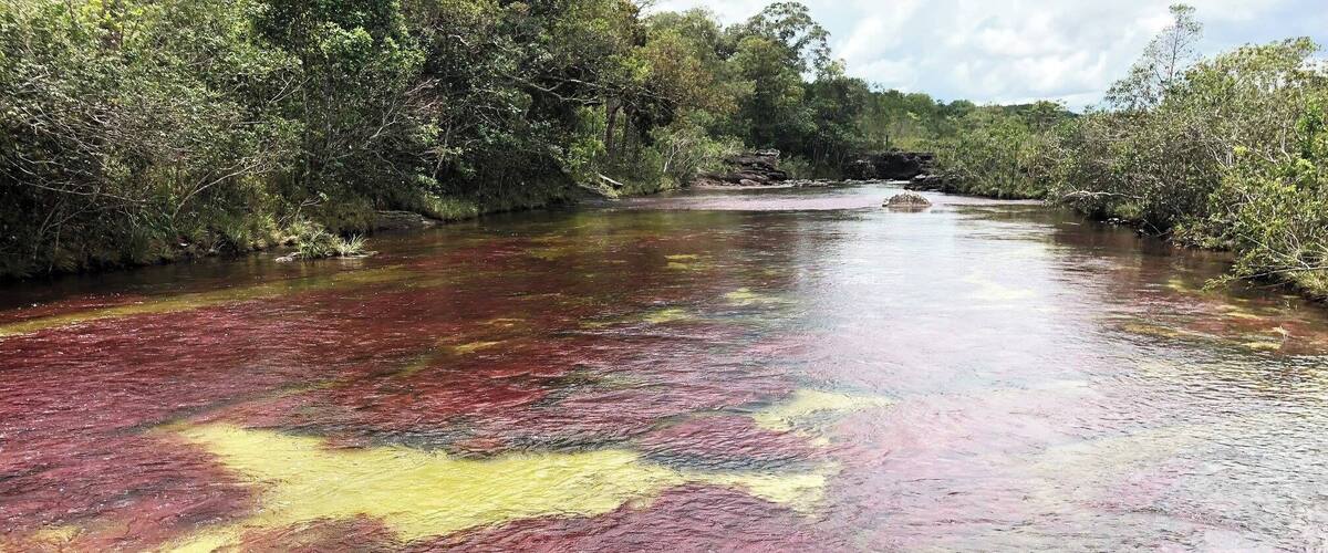 A river with reddish-brown water and yellow patches.