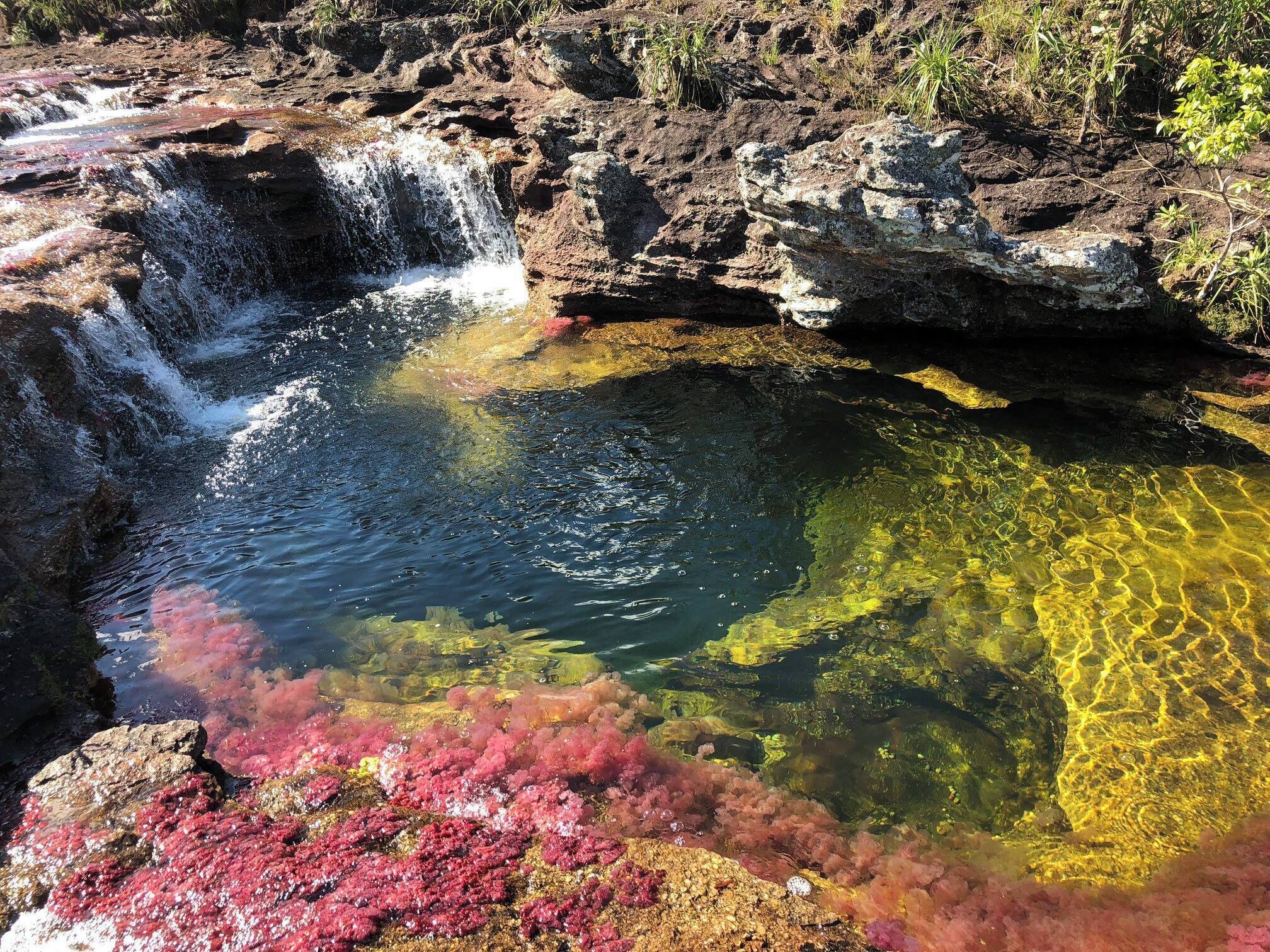 crystal clear waters of Cano Cristales