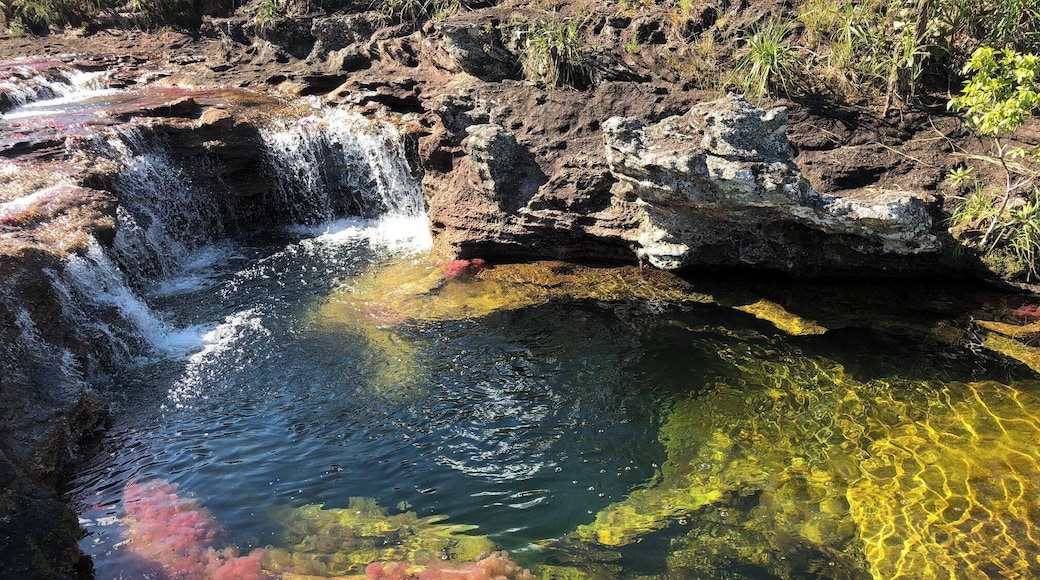 crystal clear waters of Cano Cristales