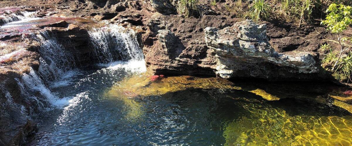 crystal clear waters of Cano Cristales