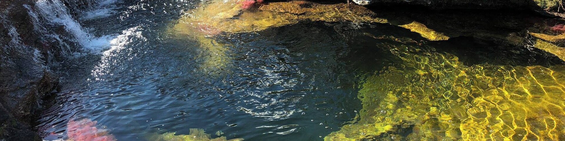 crystal clear waters of Cano Cristales