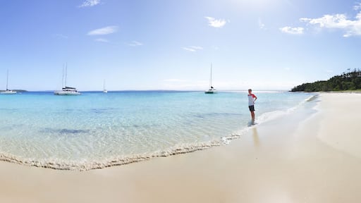 Tourist at scenic Long Beach Jervis Bay