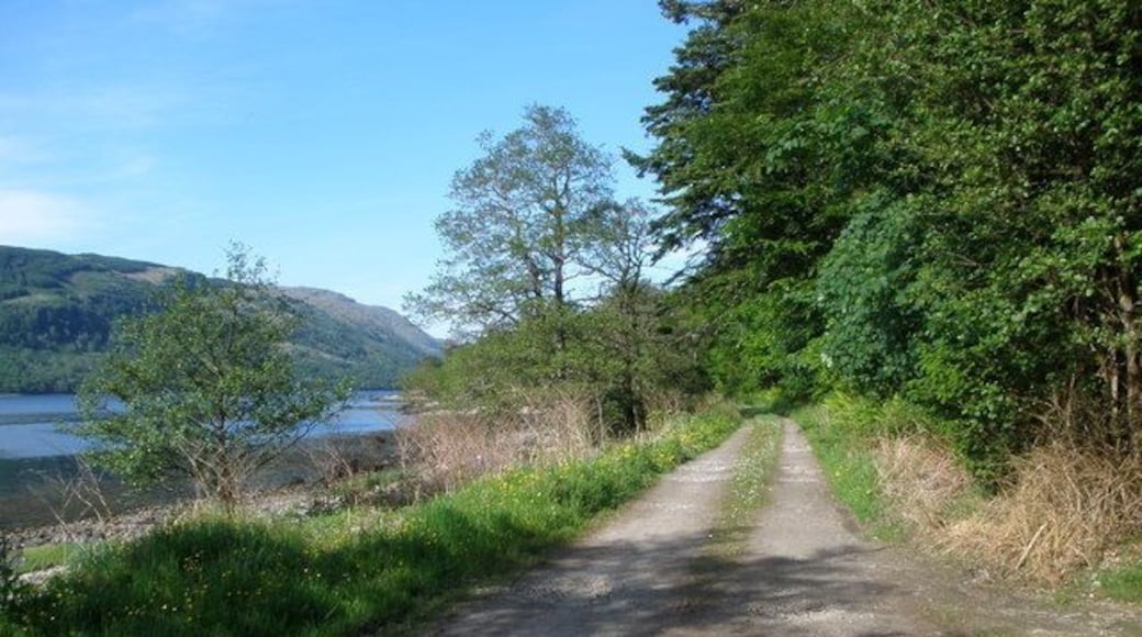Estate road on the shores of Loch Fyne in Ardkinglas Estate