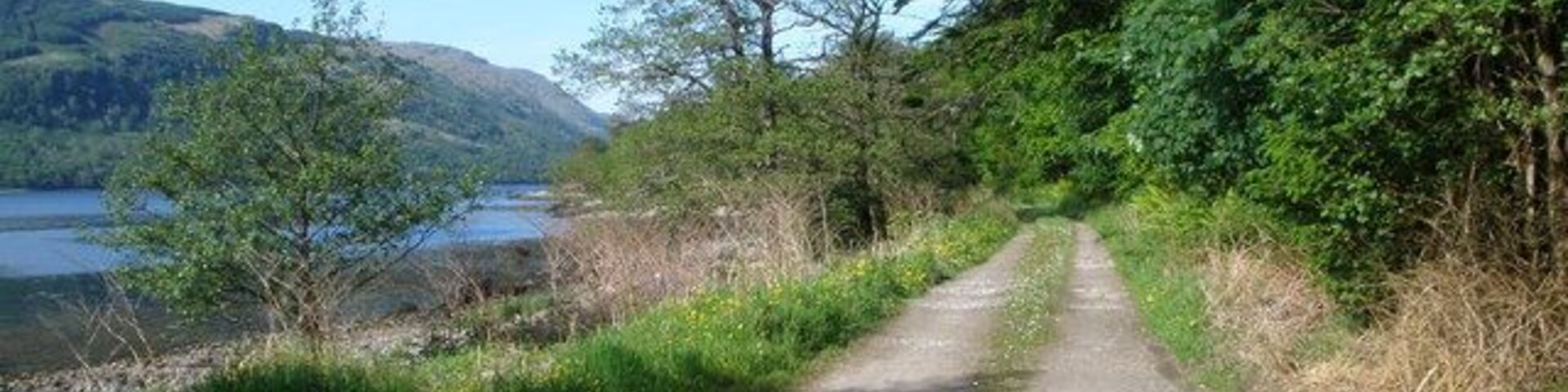 Estate road on the shores of Loch Fyne in Ardkinglas Estate