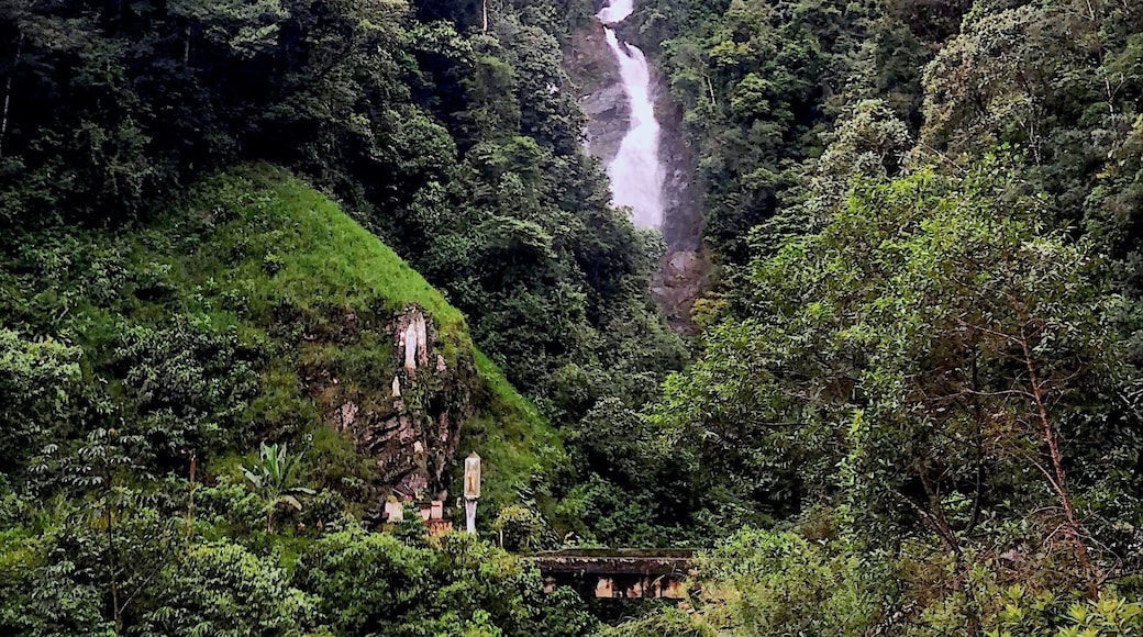 #LifeAtExpedia
#WeLoveOurMarkets
#LATAM
#green