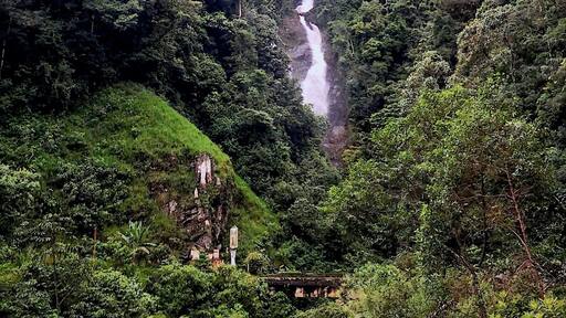 #LifeAtExpedia
#WeLoveOurMarkets
#LATAM
#green