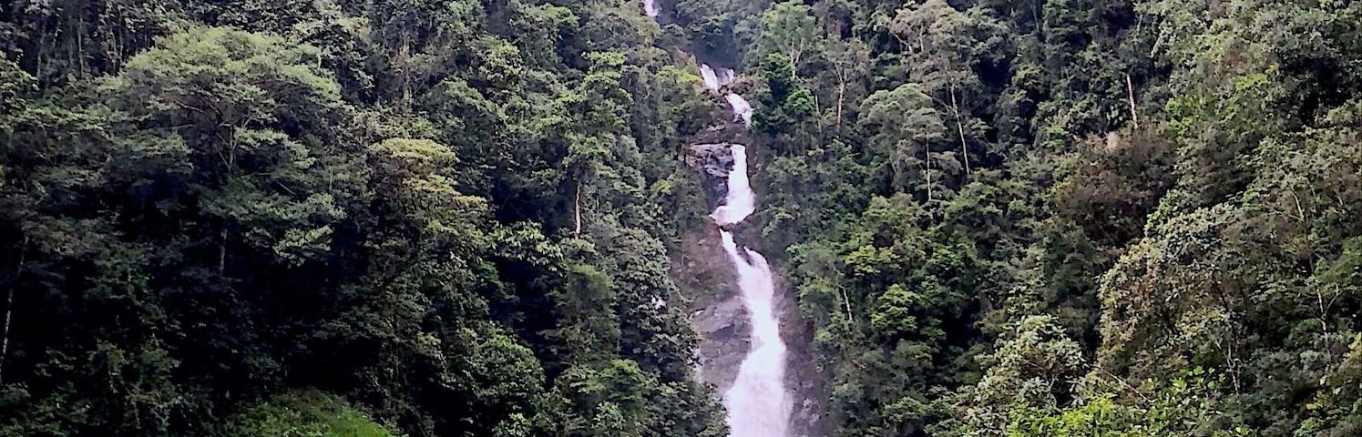 #LifeAtExpedia
#WeLoveOurMarkets
#LATAM
#green