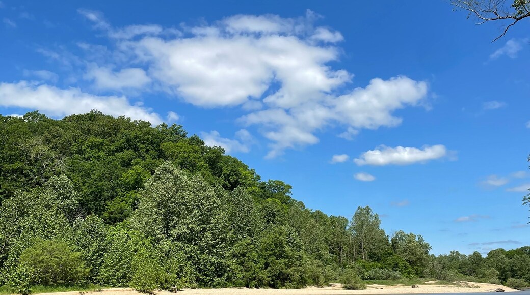 Sunny day at the river