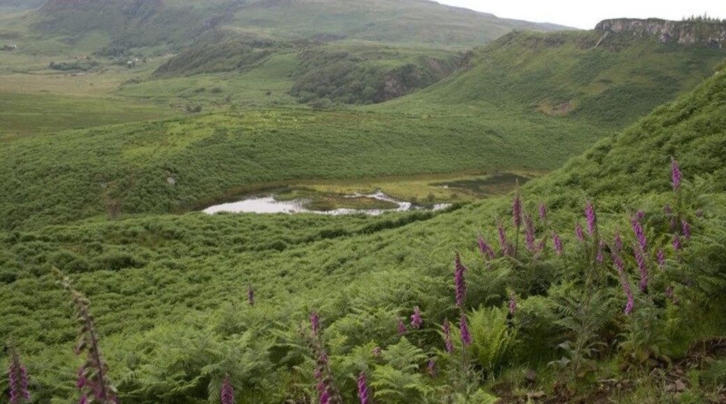 Giant's footprint, near Laig, Eigg Small lochan in the shape of a giant footprint. Also extends into NM 47 87.