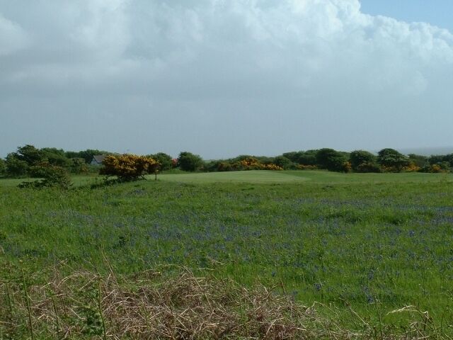 Golf at Kenfig. Kenfig golf course - green south of the road very close to the centre of the square