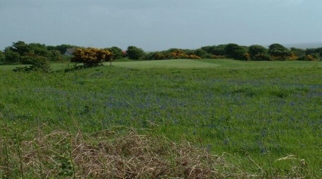 Golf at Kenfig. Kenfig golf course - green south of the road very close to the centre of the square