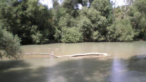 riserva naturale oasi di Campagna (foto di Peppe Pepe di Angri)