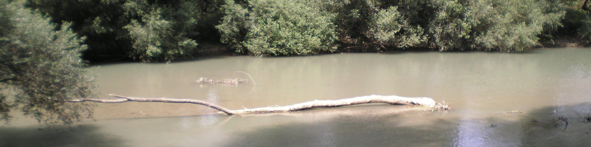 riserva naturale oasi di Campagna (foto di Peppe Pepe di Angri)