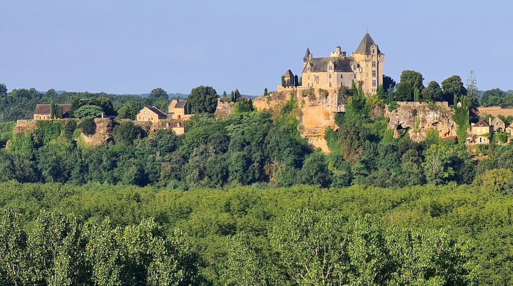 Chateau de Castelnaud next to the Dordogne river, Aquitaine, France