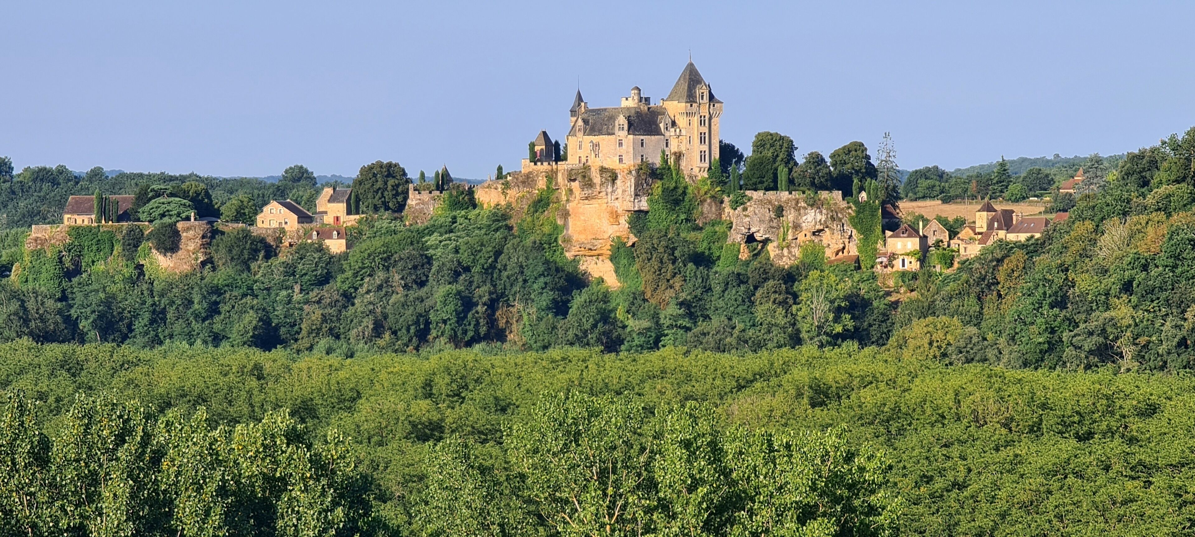 A castle on a hill with surrounding greenery and smaller buildings.