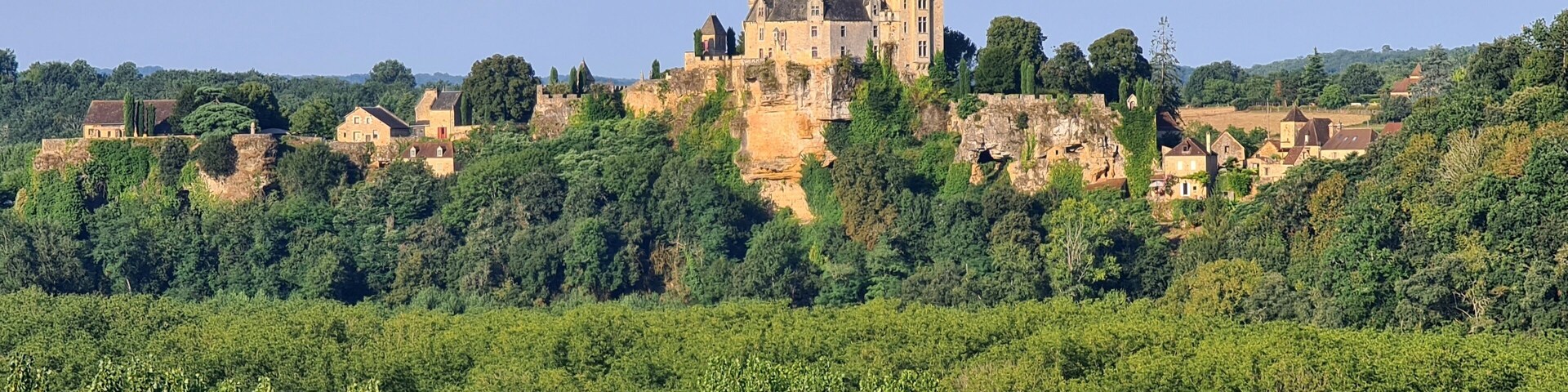 A castle on a hill with surrounding greenery and smaller buildings.