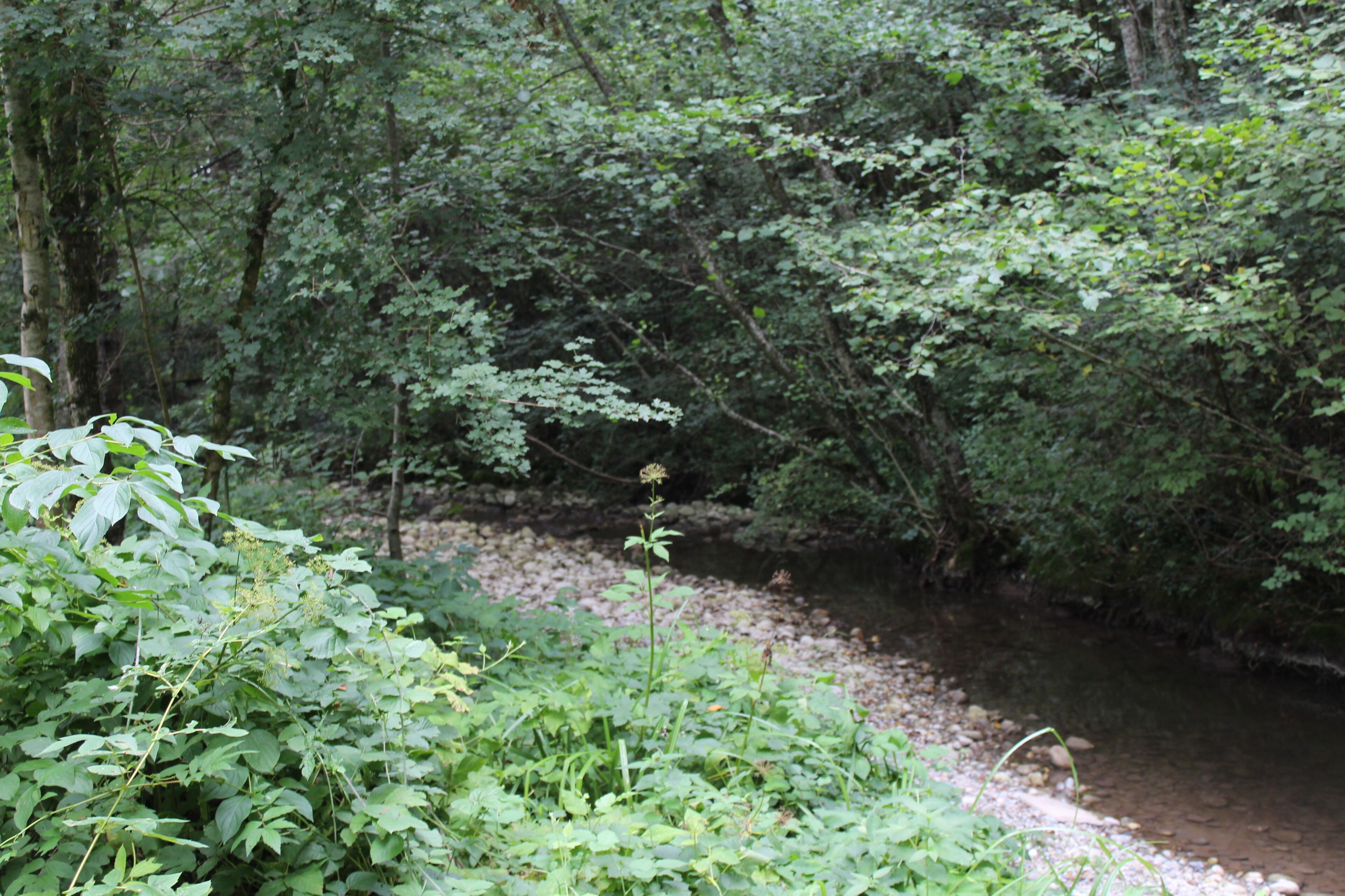 74160 Feigères, France