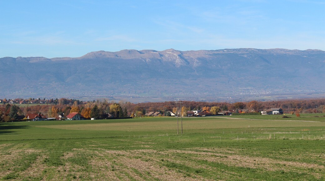 74160 Feigères, France