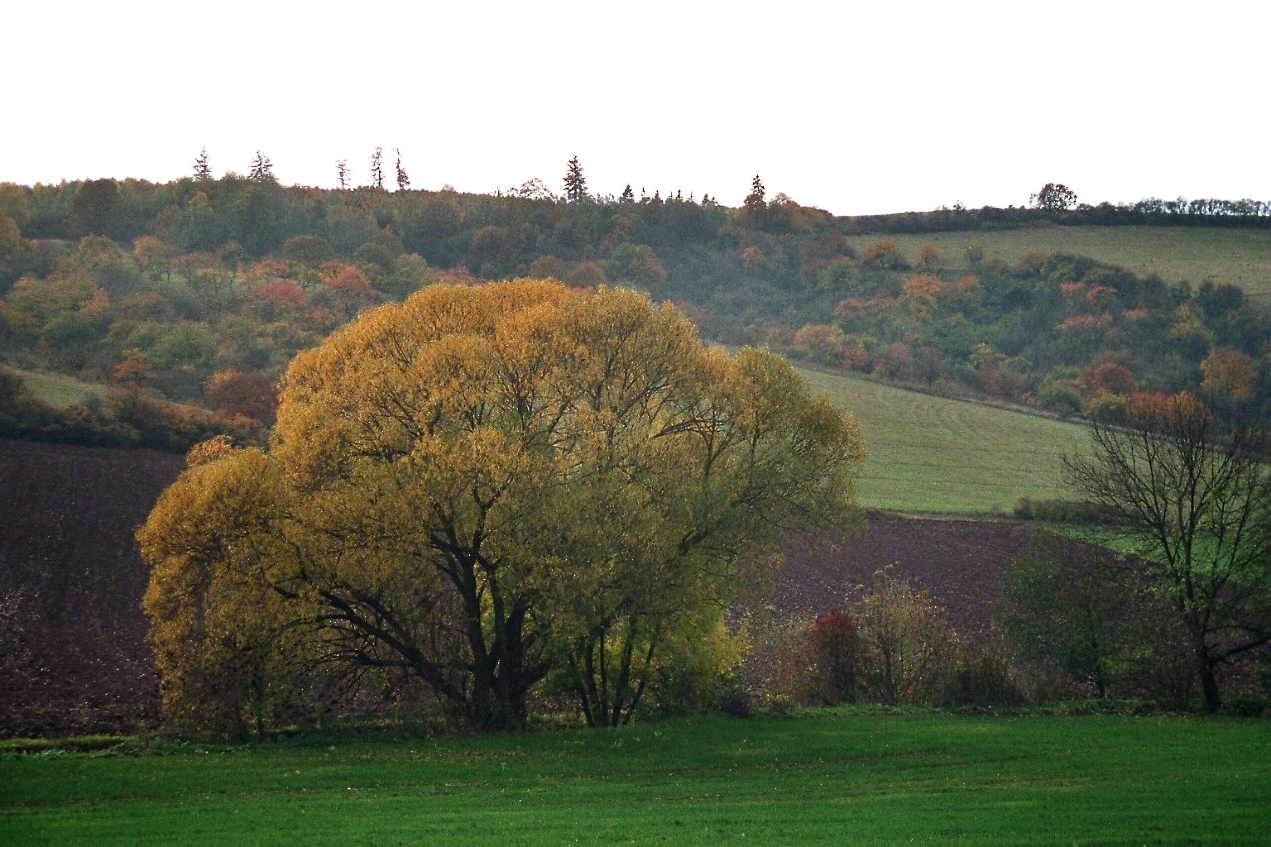 Drebsdorf (Südharz), landscape in the autumn