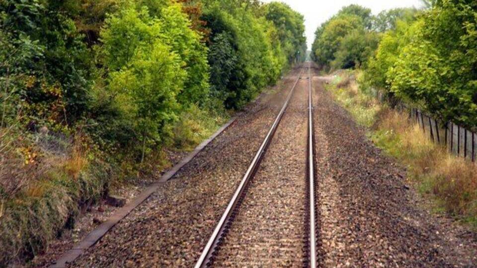 A railway track surrounded by dense green foliage.