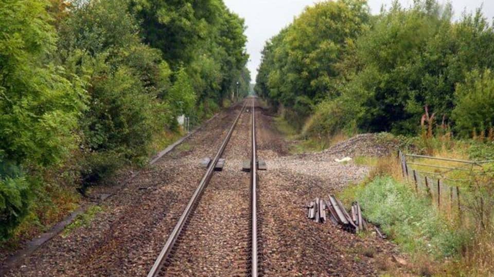 A railway track surrounded by dense green trees.