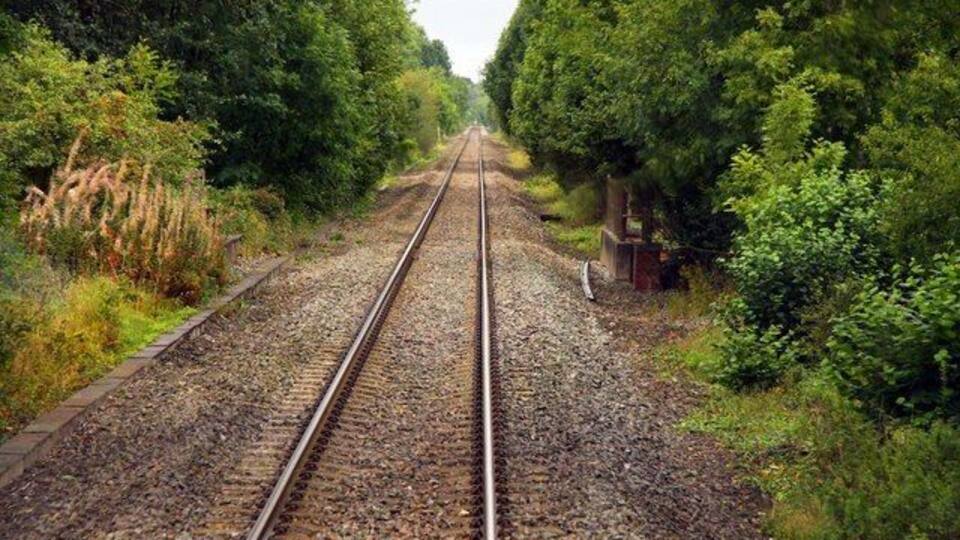 Railway tracks surrounded by dense greenery.