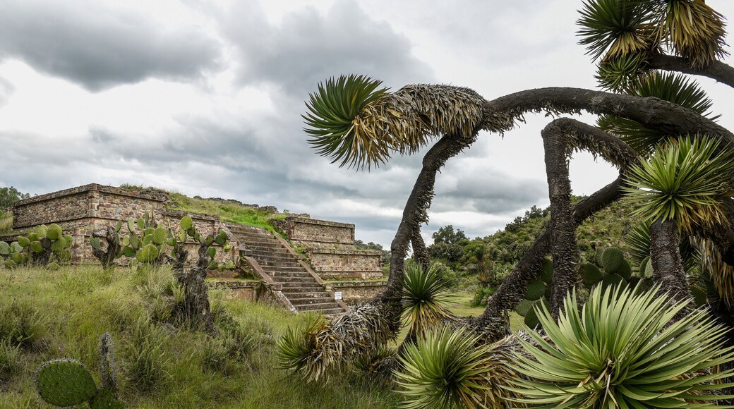View of pyramid at Xihuingo archeological site, Tepeapulco, Hidalgo, Mexico