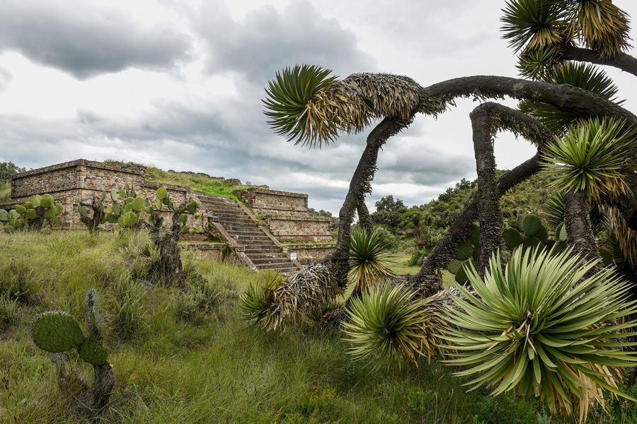 View of pyramid at Xihuingo archeological site, Tepeapulco, Hidalgo, Mexico