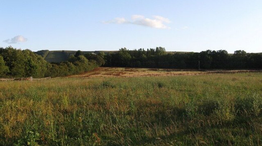 Rooks Shaw The name of the field according to the 1842 tithe map. Back then three sections of the field were given over to pasture with only one of wood and that has now gone leaving the field to be subdivided again this time for use as paddocks. The hedgerow on the left marks the Westmeston-Streat parish boundary whilst Middleton Plantation is at the southern end of the field.
