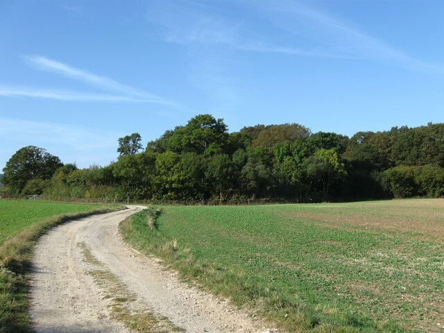 Plumpton Wood Called New Wood on the 1839 tithe map but was Plumpton Wood by 1879. The field to the right is also called New Field. The farm track leads to Wales Farm, owned by Plumpton College who also farm the fields here.