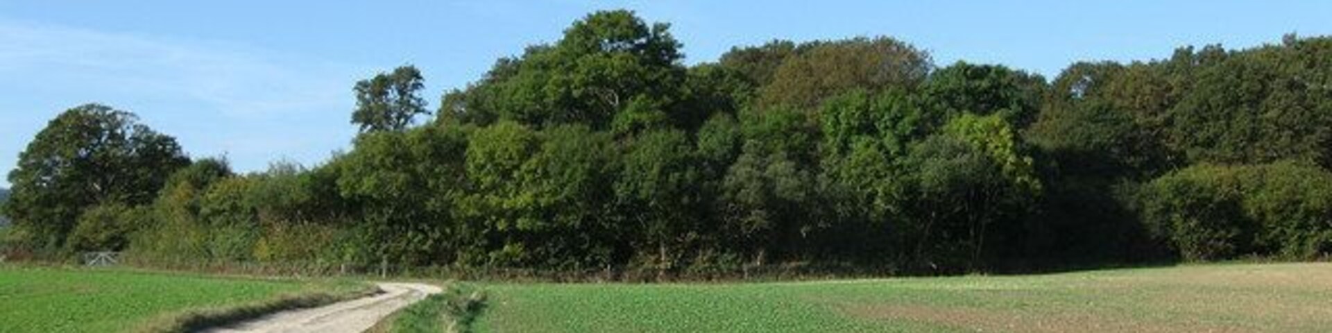 Plumpton Wood Called New Wood on the 1839 tithe map but was Plumpton Wood by 1879. The field to the right is also called New Field. The farm track leads to Wales Farm, owned by Plumpton College who also farm the fields here.