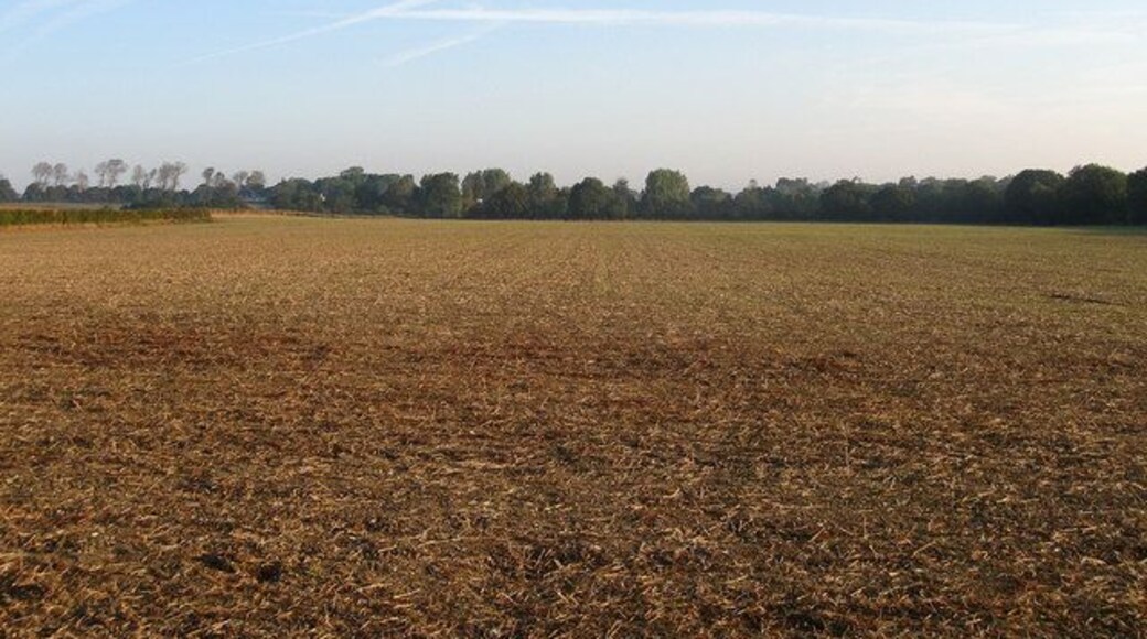 Fulling Mill Field The name of this section of the field according to the 1839 tithe map now joined to another to the north called Mascalls.