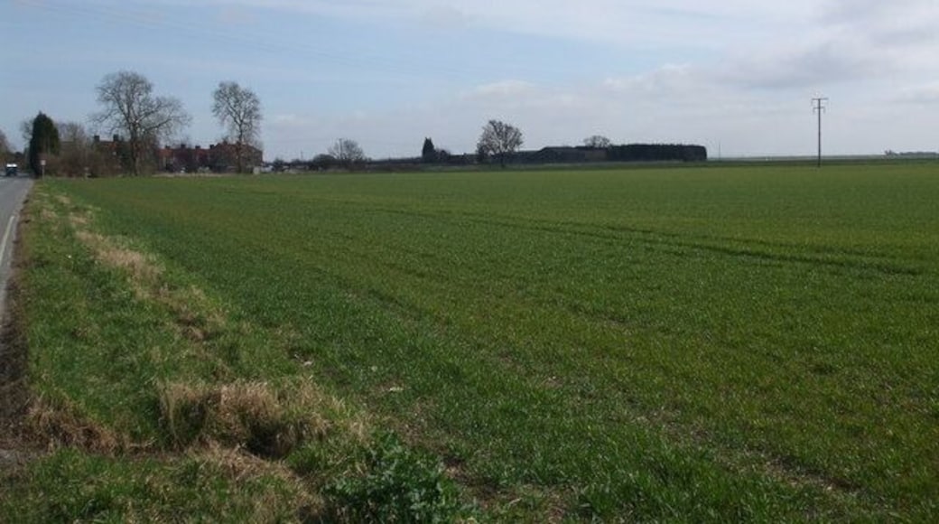 Fields towards Bridge Farm, Rawcliffe Bridge, East Riding of Yorkshire, England.