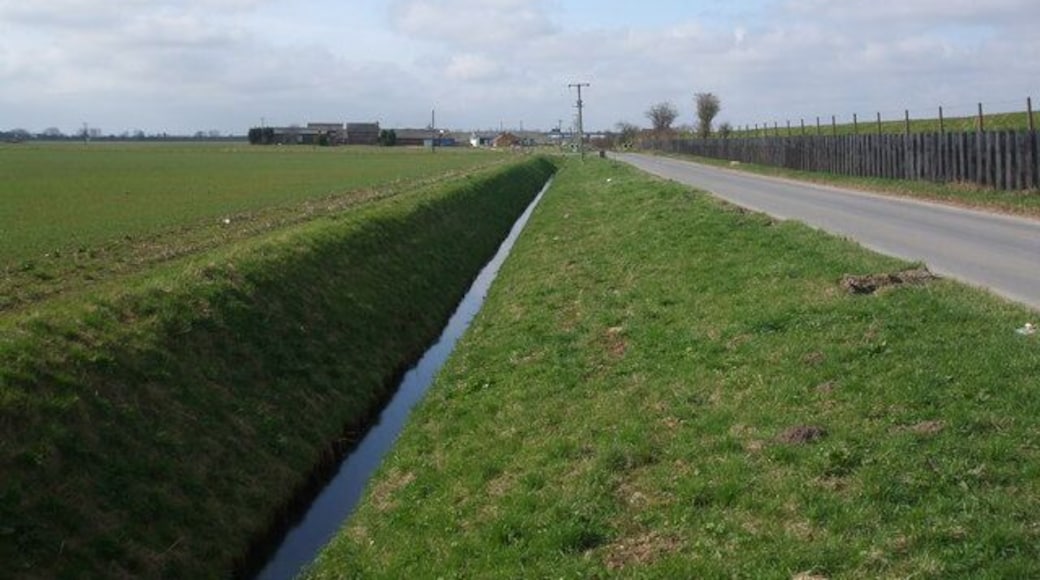Pilings alongside the River Don embankment