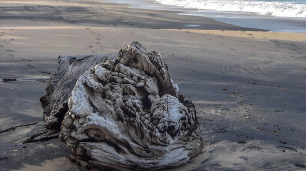 Flaxmill Bay is a wonderful little beach - you can go paddle boarding or kayaking in the sheltered cove at one end, play with kids in the stream and shallow water or swim in the bigger surf at the other end. It has an incredible mix of white and black sand - the black sand glitters brightly, in swirling patterns throughout the white. It's gorgeous. Another bonus is the nearby Shakespeare Cliffs, which offer an easy 20 minute walk to incredible panoramic views of Mercury Bay, Lonely Bay, Cooks Beach, the Marine Reserve and its islands.