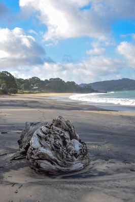 Flaxmill Bay is a wonderful little beach - you can go paddle boarding or kayaking in the sheltered cove at one end, play with kids in the stream and shallow water or swim in the bigger surf at the other end. It has an incredible mix of white and black sand - the black sand glitters brightly, in swirling patterns throughout the white. It's gorgeous. Another bonus is the nearby Shakespeare Cliffs, which offer an easy 20 minute walk to incredible panoramic views of Mercury Bay, Lonely Bay, Cooks Beach, the Marine Reserve and its islands.