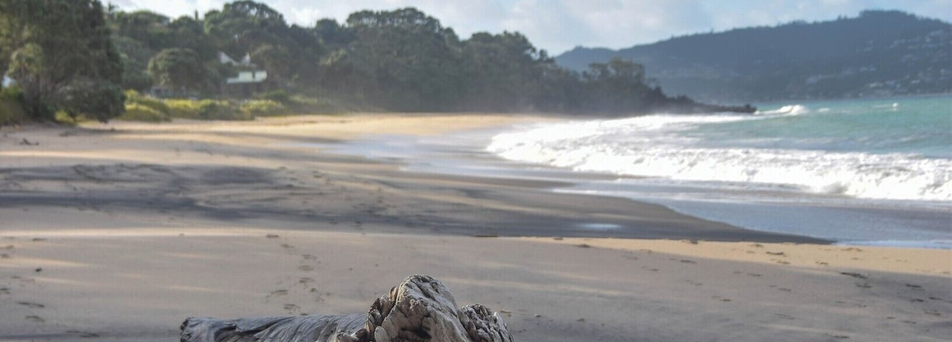 Flaxmill Bay is a wonderful little beach - you can go paddle boarding or kayaking in the sheltered cove at one end, play with kids in the stream and shallow water or swim in the bigger surf at the other end. It has an incredible mix of white and black sand - the black sand glitters brightly, in swirling patterns throughout the white. It's gorgeous. Another bonus is the nearby Shakespeare Cliffs, which offer an easy 20 minute walk to incredible panoramic views of Mercury Bay, Lonely Bay, Cooks Beach, the Marine Reserve and its islands.