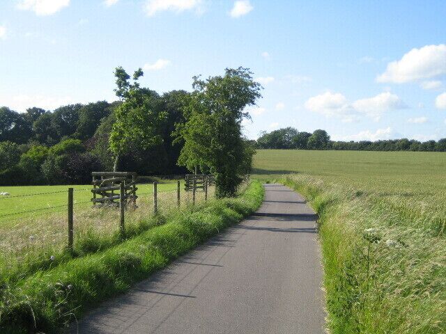 Road to Down Farm near Chilmark This is a short tarmaced road to Down Farm from a junction of C roads behind the camera. The location is on the top of chalk downland at about 180m. The road is also a bridleway, and the tarmac ends about 200m ahead where the road turns left to the farm, which is off camera and in the next grid square. The bridleway continues towards the A303 trunk road to the north.