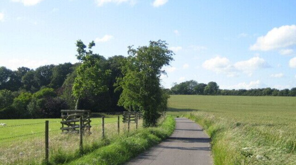 Road to Down Farm near Chilmark This is a short tarmaced road to Down Farm from a junction of C roads behind the camera. The location is on the top of chalk downland at about 180m. The road is also a bridleway, and the tarmac ends about 200m ahead where the road turns left to the farm, which is off camera and in the next grid square. The bridleway continues towards the A303 trunk road to the north.