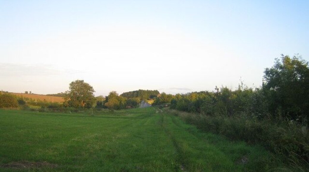 Bridleway west of Chilmark Down 2. This bridleway comes down from the A303 trunk road 1km behind the camera, and here it continues south to Manor Farm, see 891738. Some farm buildings and a farm road can be seen in the distance.
